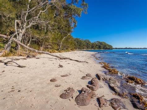 Barfleur Beach | NSW Holidays & Accommodation, Things to Do ...