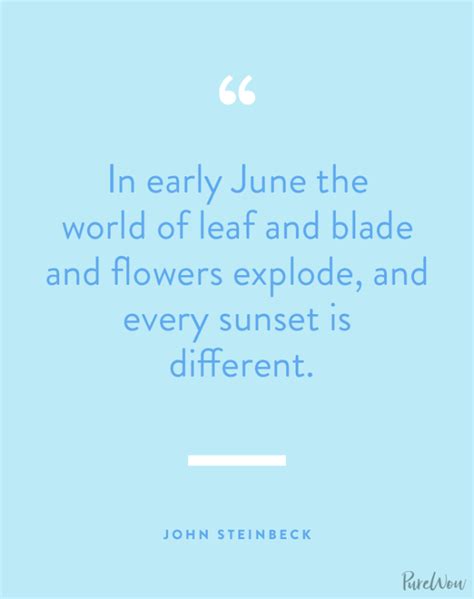 50 Summer Quotes That Capture the Magic of Summer - PureWow