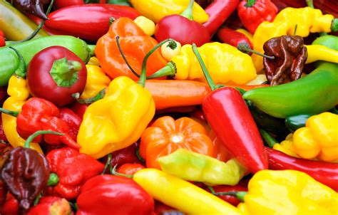 Are Peppers Fruits or Vegetables? - Small Axe Peppers