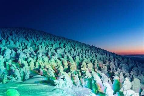 Zao Onsen : Meet the Snow Monsters at Zao Onsen Ski Resort!