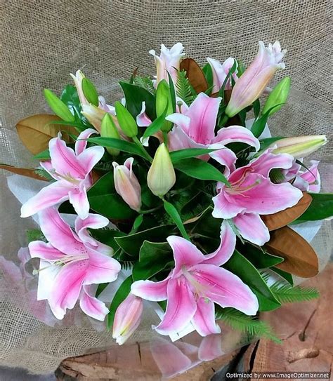 Oriental Lily Bouquet - Blossoms of Tweed Banora Florist