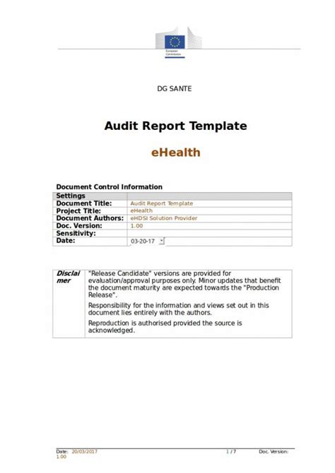 FREE 11+ External Audit Report Samples & Templates in PDF | MS Word