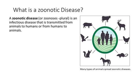 Essential Knowledge: Zoonotic Diseases - PEER Program (Youth STEM Promotion)