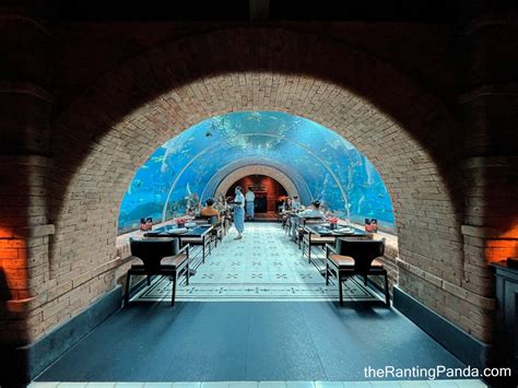 Food Review: Koral Aquarium Restaurant At The Apurva Kempinski Bali ...