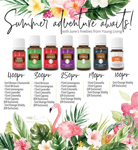 How and Why to Join Young Living Essential Oils - Decorchick!