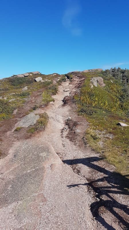 Cape Spear to North Head Mountain Biking Trail - St. John's