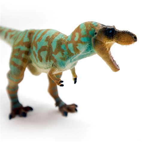 Albertosaurus Toy Dinosaur Figure | | Safari Ltd®