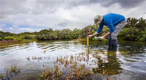 World Wetlands Day: Promoting the sustainable use of wetlands