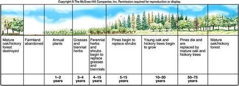 Succession - Biology Resources