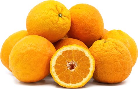 Valencia Oranges Information, Recipes and Facts