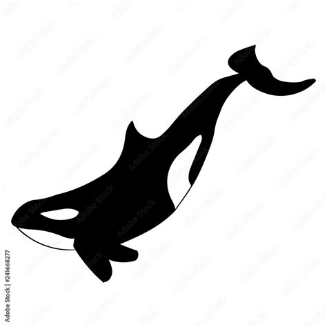 Orca whale silhouette. Vector black and white illustration Stock Vector ...