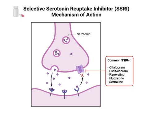 Selective Serotonin Reuptake Inhibitor (SSRI) Mechanism of Action | BioRender Science Templates