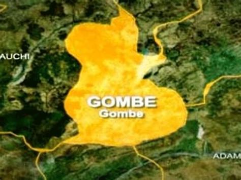 Gombe State University announces Faculty of Environmental Sciences – Voice of Nigeria