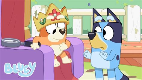 Bluey Season 2, Episode Bingo, 47% OFF | www.pinnaxis.com