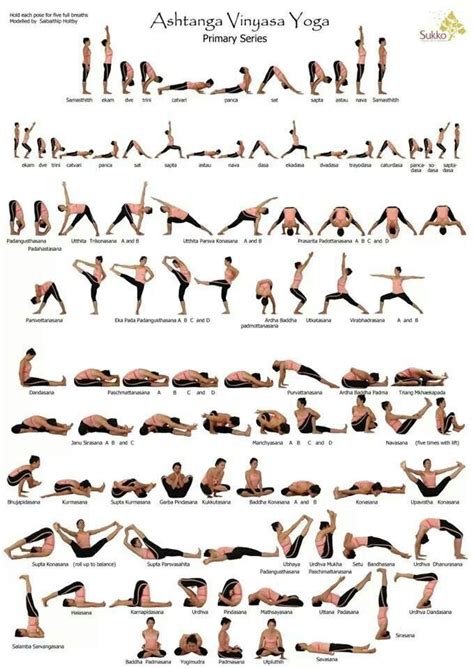 58 best Basic Yoga Asanas for Beginners images on Pinterest | Basic yoga, Yoga poses and Asana