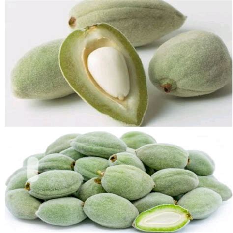 Raw Green Almonds - Shikara