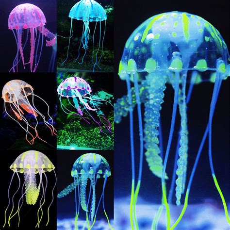 Glow Jellyfish