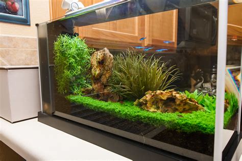 2017 Fluval Spec V Aquarium Journal - Spec-Tanks