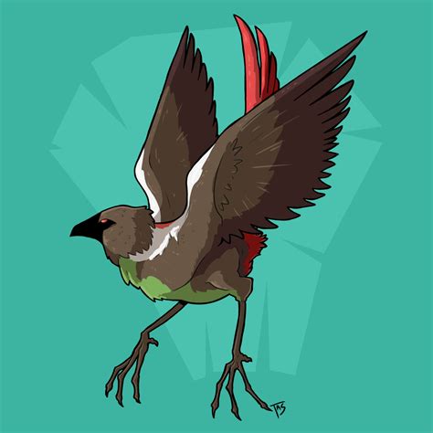 Minka Bird | Cryptid Wiki | Fandom