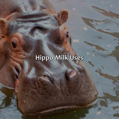 What Color Is Hippo Milk - colorscombo.com