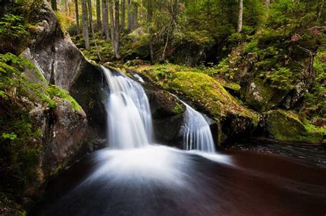 The Beautiful and Amazing Black Forest | Travel Plein Air, Wonderful Places, Beautiful Places ...