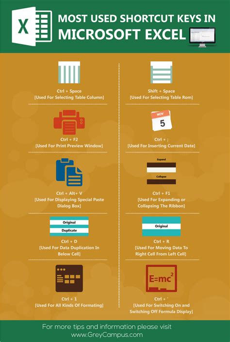 Most Used Shortcut Keys in Microsoft Excel - Infographics