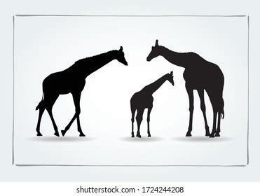 4,137 Baby Giraffe Silhouette Royalty-Free Images, Stock Photos ...