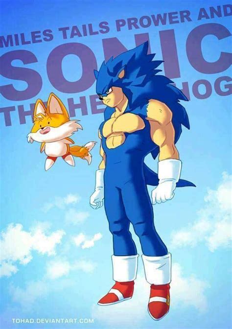 Sonic The Hedgehog + DragonBall Z | Sonic the Hedgehog! Amino