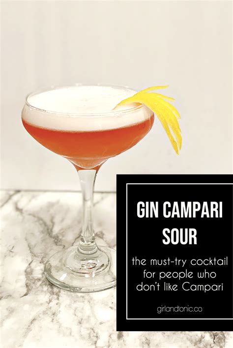 Gin Campari Sour | The Best Campari Cocktail | Campari cocktails, Cocktail drinks recipes ...