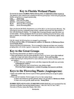 Key to Florida Wetland Plants - Florida Department of ... | Wetland ...