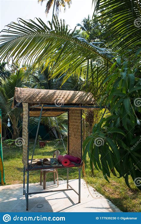 A Traditional Bird Nest in Kerala, India. Stock Photo - Image of bird ...