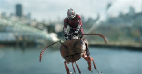 Ant-Man riding Ant in Ant-Man and the Wasp Wallpaper, HD Movies 4K Wallpapers, Images, Photos ...