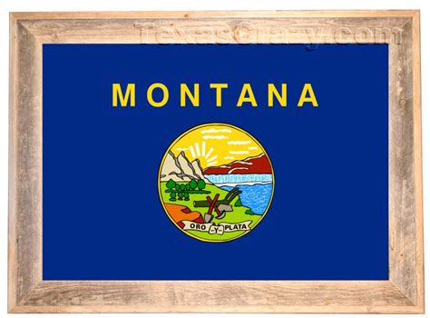 Buy 2 X 3 Montana State Flag Framed MT Flag USA Wall Art