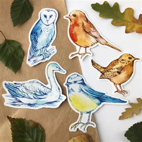 Pack of 5 Stickers Birds Bird Stickers Nature Stickers - Etsy