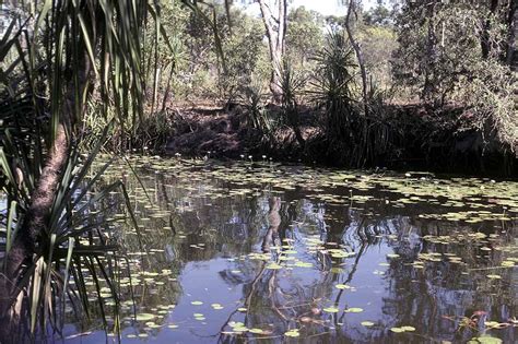 Bone Lagoon | Borroloola | Northern Territory | Australia | OzOutback