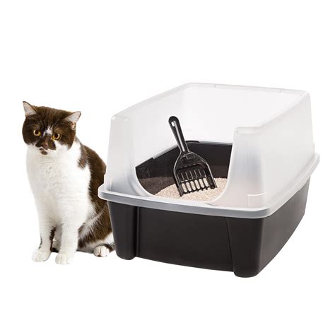 Best Cat Litter Box for Odor Control and Easy Cleaning | Tail of Cats