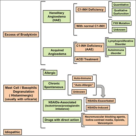 Classification of Angioedema by Endotypes (25,27). | Download Scientific Diagram