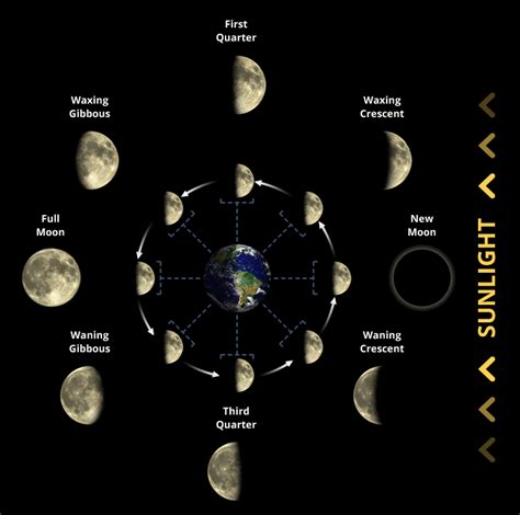 Delerius Weather Station | Lunar Calendar