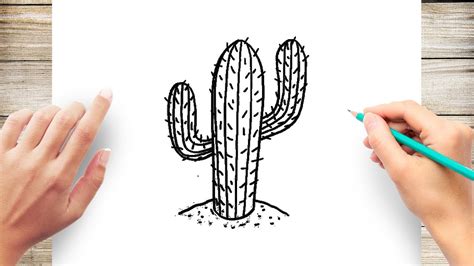 How To Draw Realistic Cactus Easy - YouTube