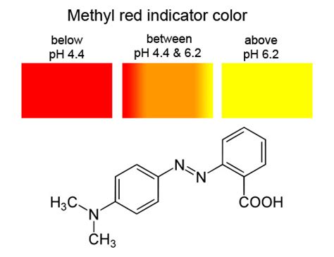 Experiment 12 Help