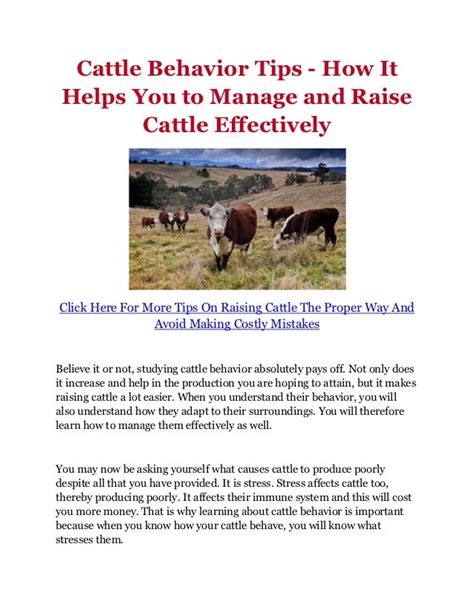 Cattle Behavior Tips - How It Helps You to Manage and Raise Cattle ...