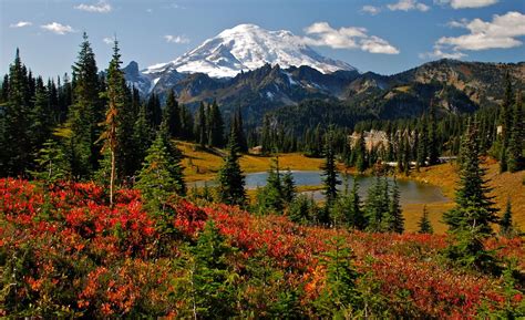 American Landscapes: Pacific Northwest Parks | National parks, Rainier ...