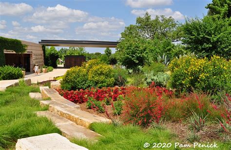 San Antonio Botanical Garden reopening, part 1 - Digging