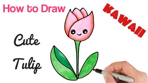 How to Draw cartoon flower tulip cute and easy - YouTube