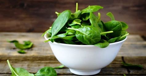 Spinach, a Superfood for Popeye and You is a Highly Nutritious Food