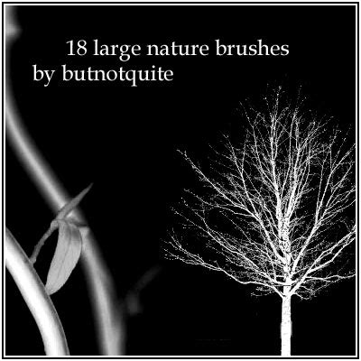 Nature | Photoshop Free Brushes | 123Freebrushes