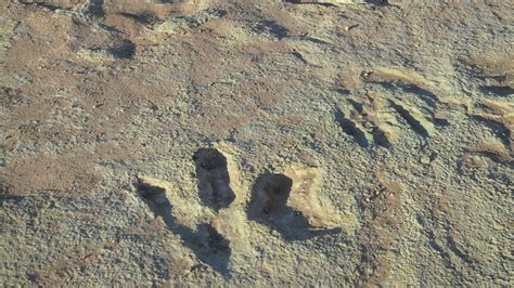 Dinosaur Prints in Utah Are Feared Damaged by Construction Equipment ...