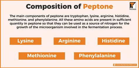 What is Peptone Powder? Its Composition, Types, and Uses