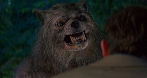 Bad Moon 1996 Movie: A Werewolf Hero Avoids Hurting His Relatives - Dreame