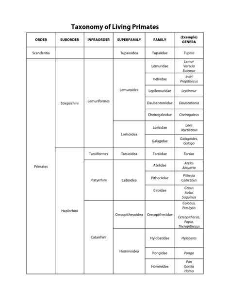 Primate Taxonomy | PDF | Mammal Taxonomy | Primate Taxonomy